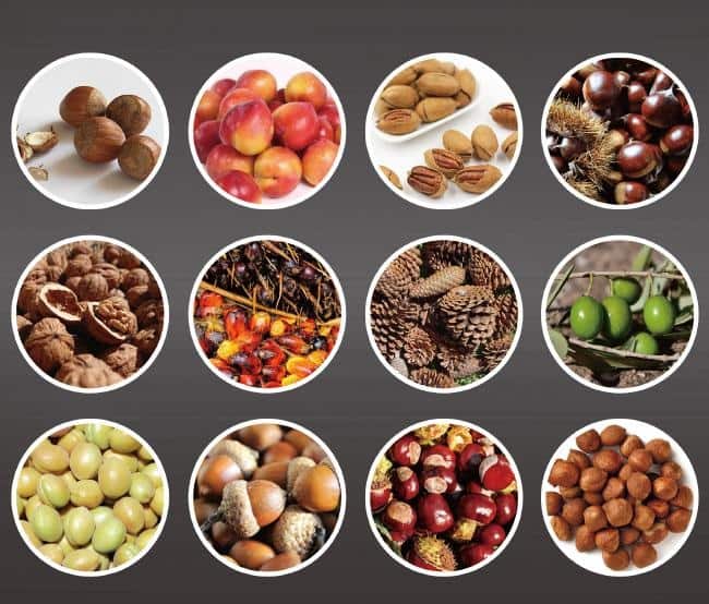 Grasher SK40 Συλλέκτης Καρπών Χωρητικότητας 2.2lt