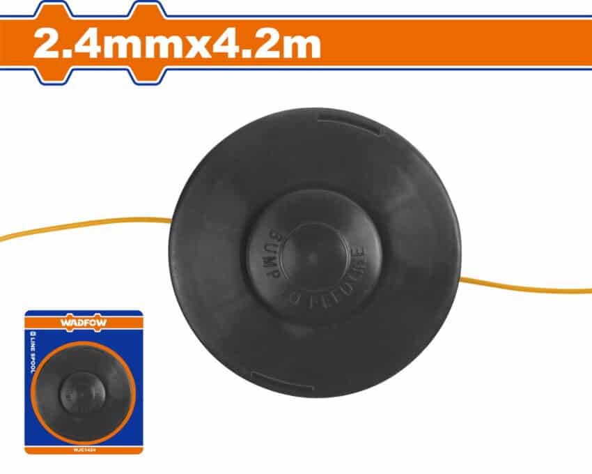 Ανταλ/κη Κεφαλή Μεσινέζας